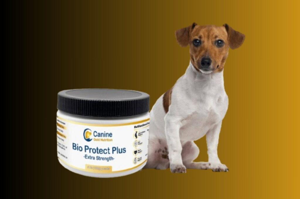 Bio Protect Plus Offer